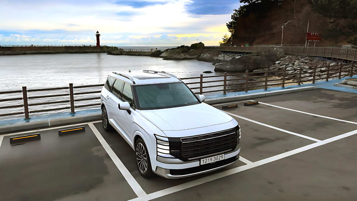 palisade-lx3-9seat-parking-problem (1)