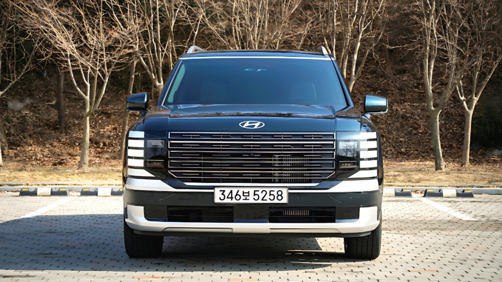 palisade-lx3-9seat-parking-problem (2)